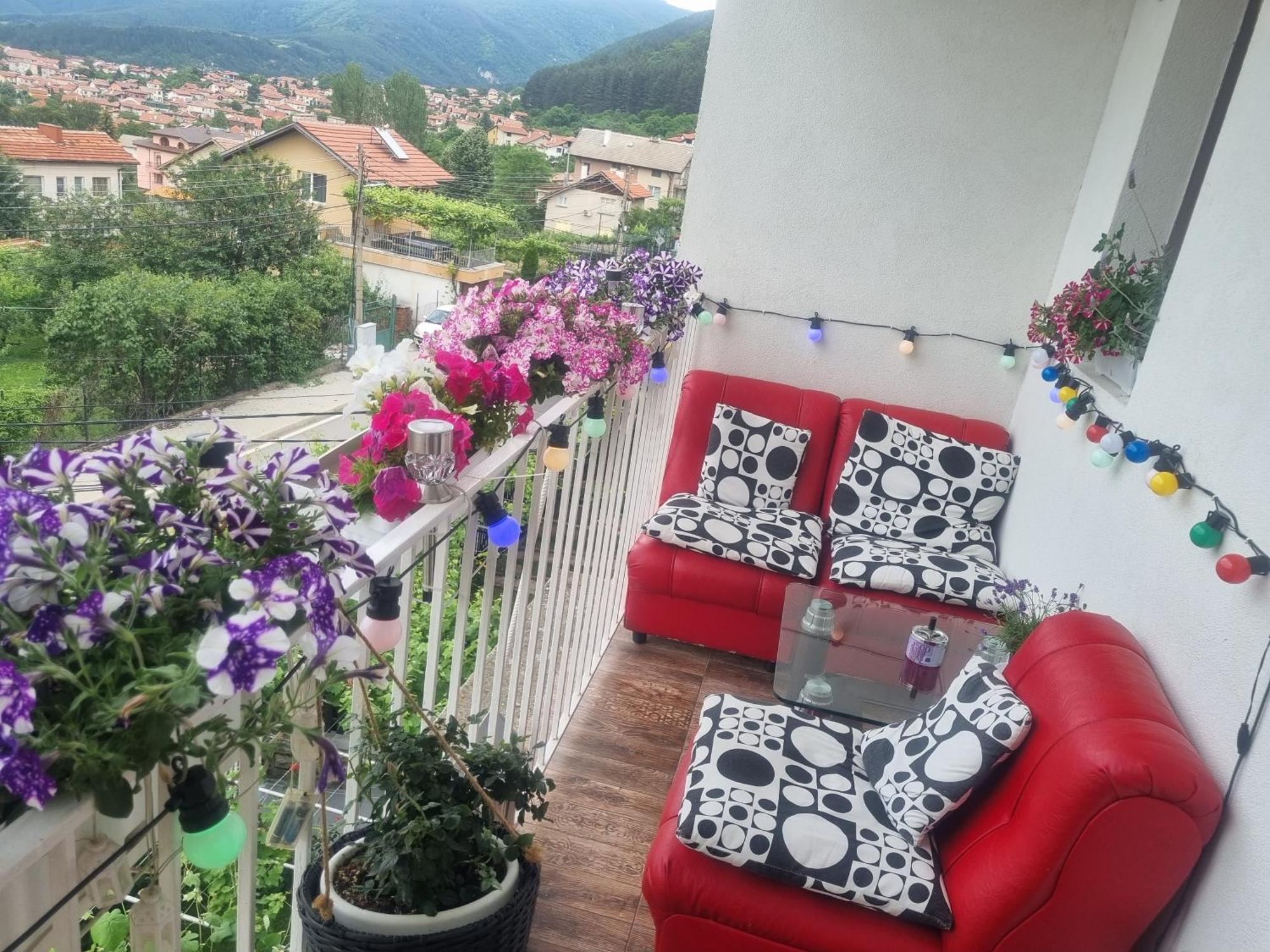 Guesthouse Jasmin Сапарева-Баня Экстерьер фото